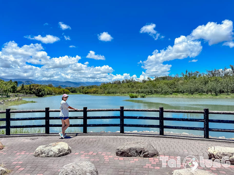 台東市區景點 I 台東森林公園, 黑森林裡的琵琶湖, 歐風打卡觀景平台, 濱海森林系自行車道