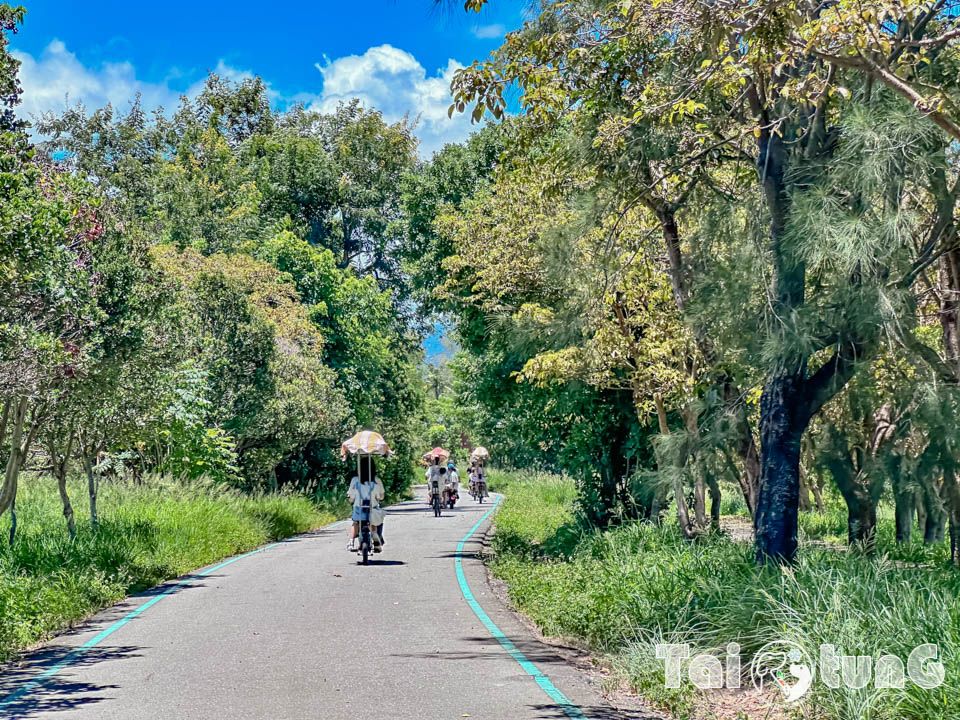 台東市區景點 I 台東森林公園, 黑森林裡的琵琶湖, 歐風打卡觀景平台, 濱海森林系自行車道