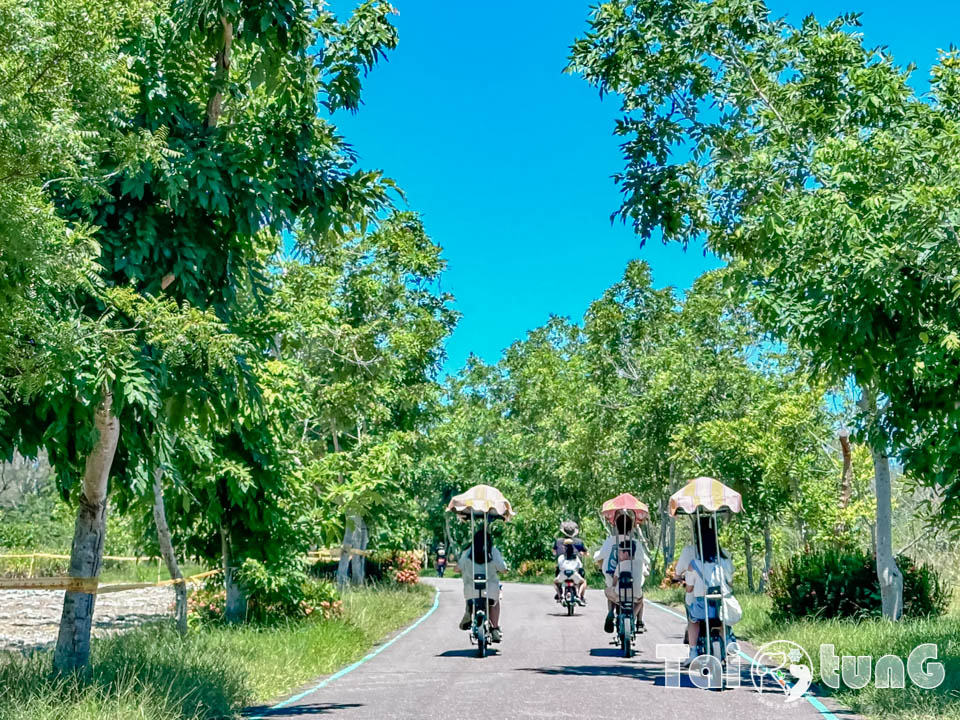 台東市區景點 I 台東森林公園, 黑森林裡的琵琶湖, 歐風打卡觀景平台, 濱海森林系自行車道