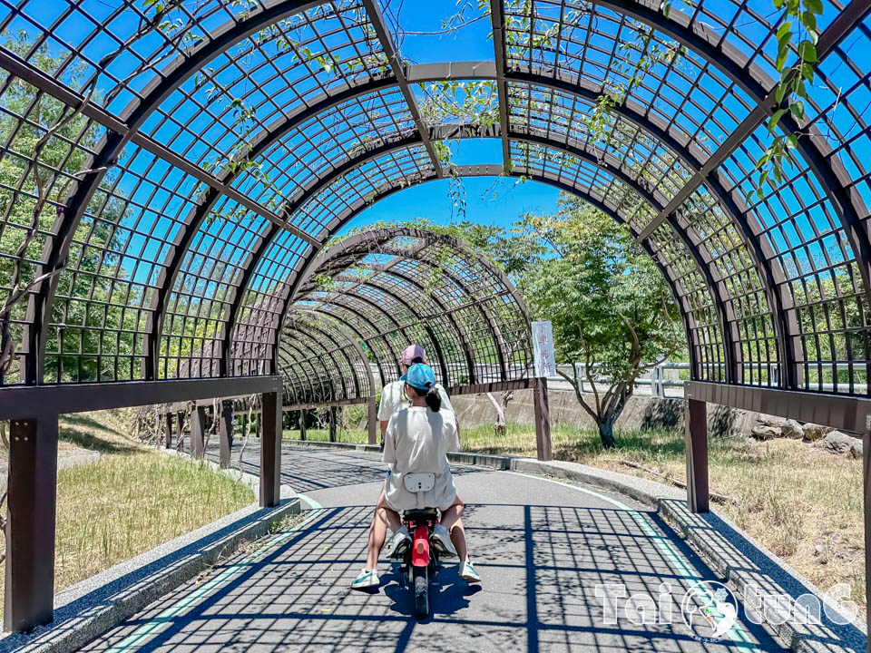 台東市區景點 I 台東森林公園, 黑森林裡的琵琶湖, 歐風打卡觀景平台, 濱海森林系自行車道