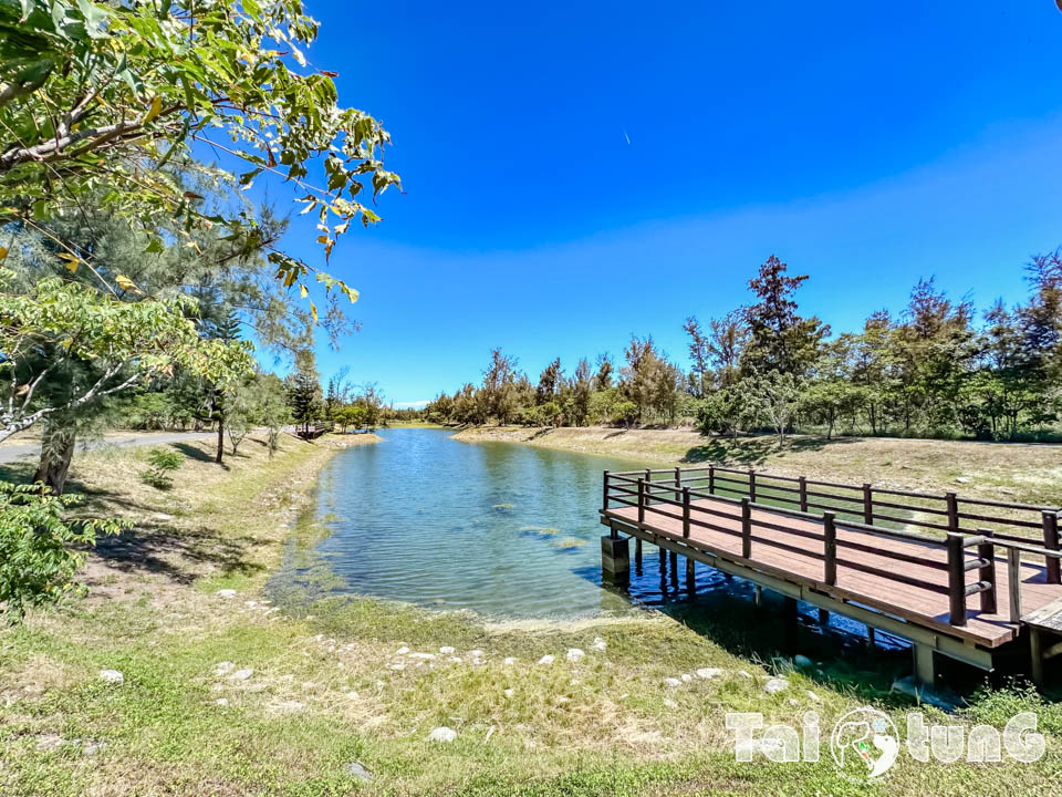 台東市區景點 I 台東森林公園, 黑森林裡的琵琶湖, 歐風打卡觀景平台, 濱海森林系自行車道