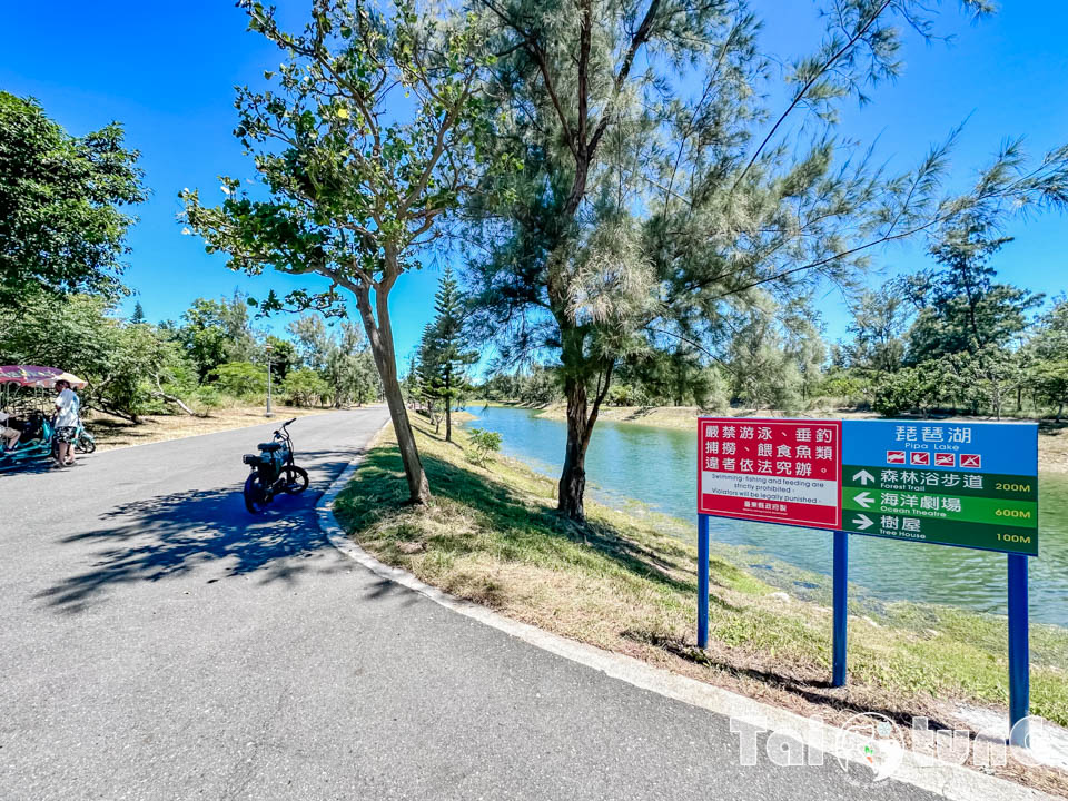 台東市區景點 I 台東森林公園, 黑森林裡的琵琶湖, 歐風打卡觀景平台, 濱海森林系自行車道