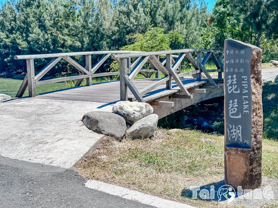 台東市區景點 I 台東森林公園, 黑森林裡的琵琶湖, 歐風打卡觀景平台, 濱海森林系自行車道