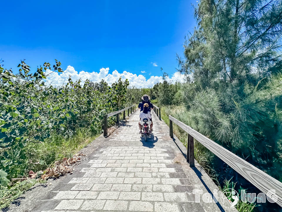 台東市區景點 I 台東森林公園, 黑森林裡的琵琶湖, 歐風打卡觀景平台, 濱海森林系自行車道