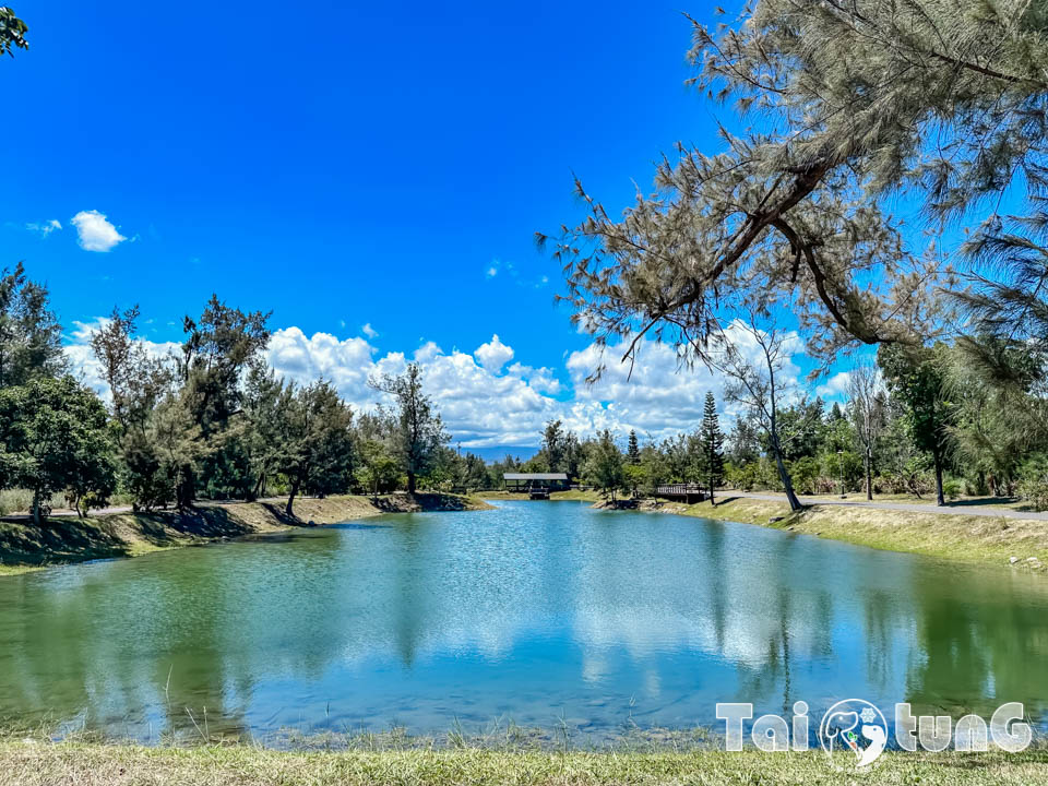 台東市區景點 I 台東森林公園, 黑森林裡的琵琶湖, 歐風打卡觀景平台, 濱海森林系自行車道