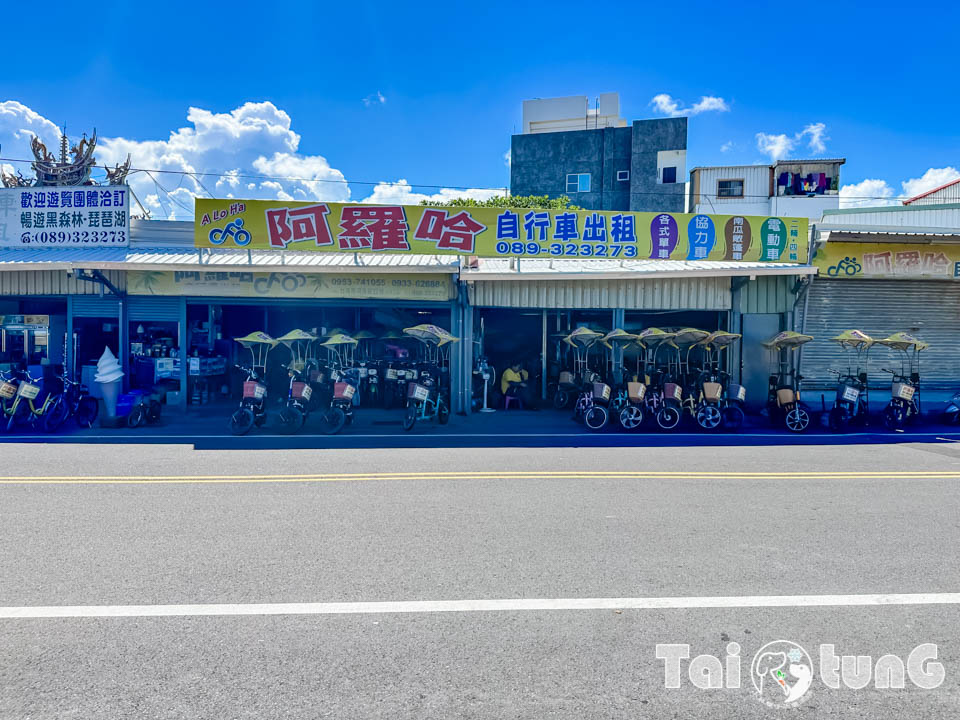 台東市區景點 I 台東森林公園, 黑森林裡的琵琶湖, 歐風打卡觀景平台, 濱海森林系自行車道