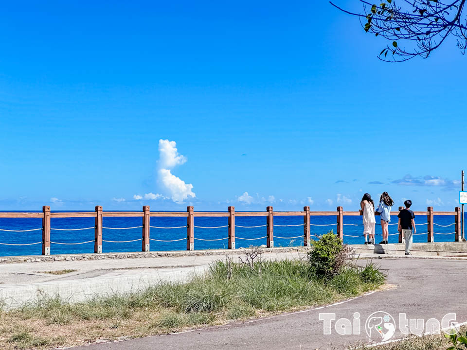 台東市區景點 I 台東森林公園, 黑森林裡的琵琶湖, 歐風打卡觀景平台, 濱海森林系自行車道