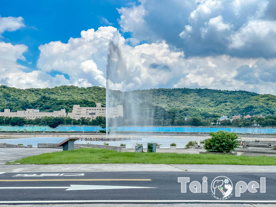 台北中山景點〡大佳河濱公園戲水區〡八款造型灑水裝置, 溫和不刺激兒童戲水區, 海洋生物共融遊戲場