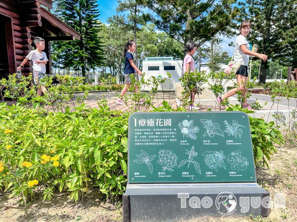 桃園龍潭景點｜龍潭綠杉林公園, 闖六關登王者之塔, 穿梭杉林間挑戰自我極限, 大朋友的體能訓練場, 仿露營車特色洗手間