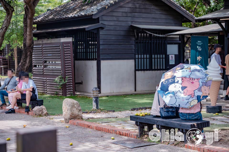 嘉義東區景點〡檜意森活村〡全台最大日式建築, 重量級祈福許願木, 祈福亭繪馬, 森林文創市集小物, 免門票親子景點