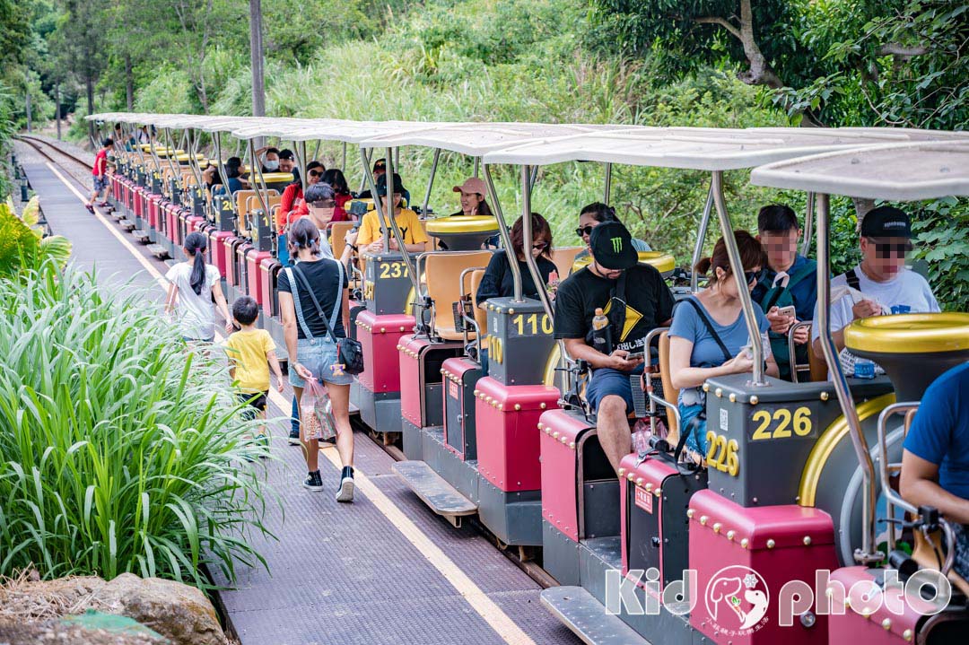 苗栗三義景點〡舊山線鐵道自行車〡穿越魚藤平鐵橋, 七彩繽紛6號隧道, 欣賞龍騰斷橋極緻工藝, 走C路線來去鯉魚潭水庫