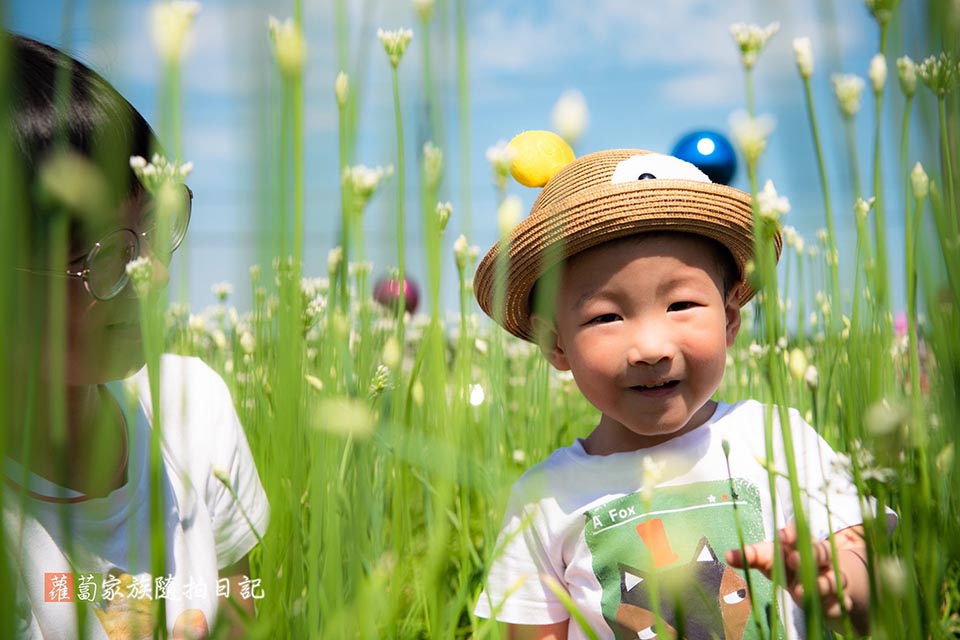 桃園大溪景點〡2024桃園大溪韭菜花季〡中庄韭菜花田巡禮, 五大藝術裝置美美的拍, 活動資訊整理