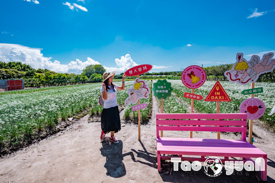 桃園大溪景點〡2024桃園大溪韭菜花季〡中庄韭菜花田巡禮, 五大藝術裝置美美的拍, 活動資訊整理