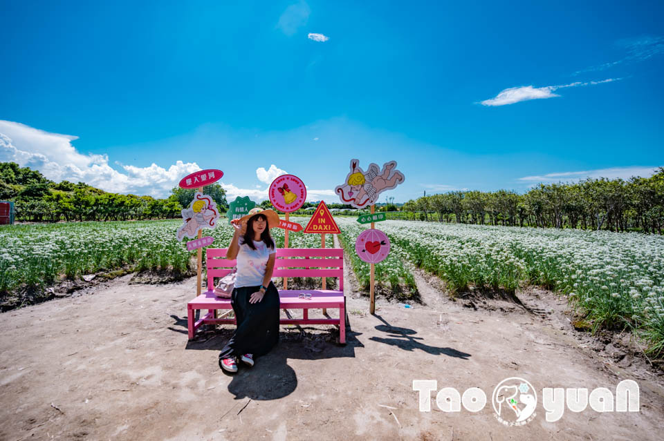 桃園大溪景點〡2024桃園大溪韭菜花季〡中庄韭菜花田巡禮, 五大藝術裝置美美的拍, 活動資訊整理