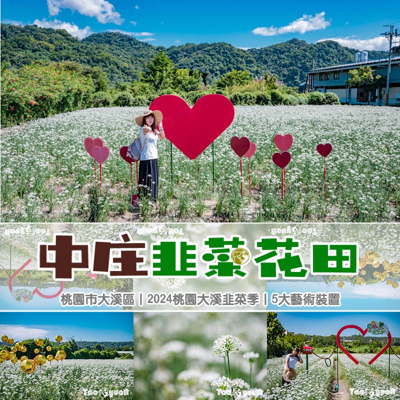 桃園大溪景點〡2024桃園大溪韭菜花季〡中庄韭菜花田巡禮, 五大藝術裝置美美的拍, 活動資訊整理