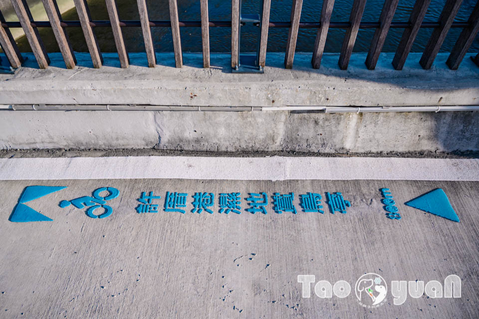 桃園大園景點〡許厝港濕地〡國家級重要濕地, 小燕鷗特色天幕, 許厝港溼地賞鳥節, 候鳥漫波年度盛事, 與候鳥一起賞夕陽, 許厝港自行車景觀大橋, 南岸人文廣場新地標