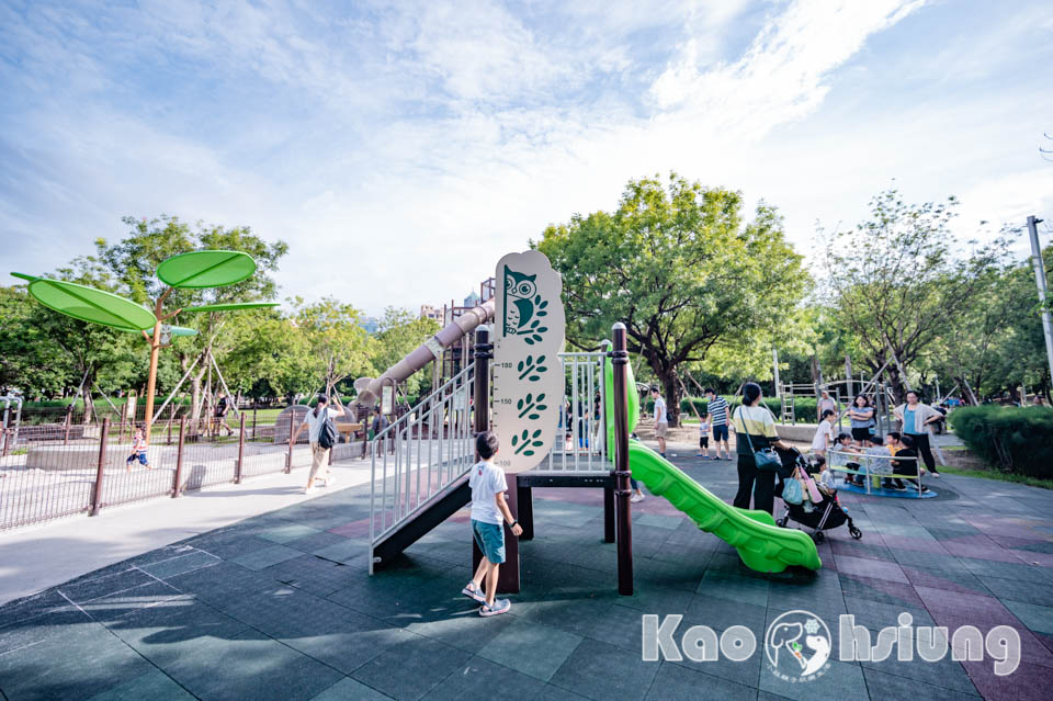 高雄前金景點〡高雄中央公園〡捷運站前綠地公園, 貓頭鷹遊戲場, 景觀湖觀察生態, 假日野餐好地點, 還有夏日戲水區, 滑草場溜一波