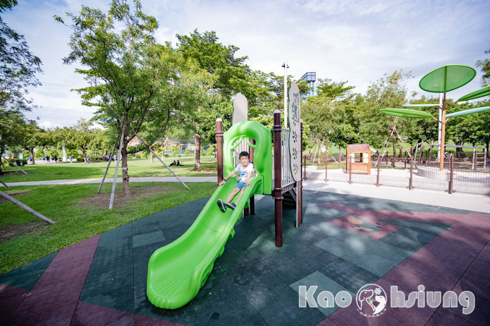 高雄前金景點〡高雄中央公園〡捷運站前綠地公園, 貓頭鷹遊戲場, 景觀湖觀察生態, 假日野餐好地點, 還有夏日戲水區, 滑草場溜一波