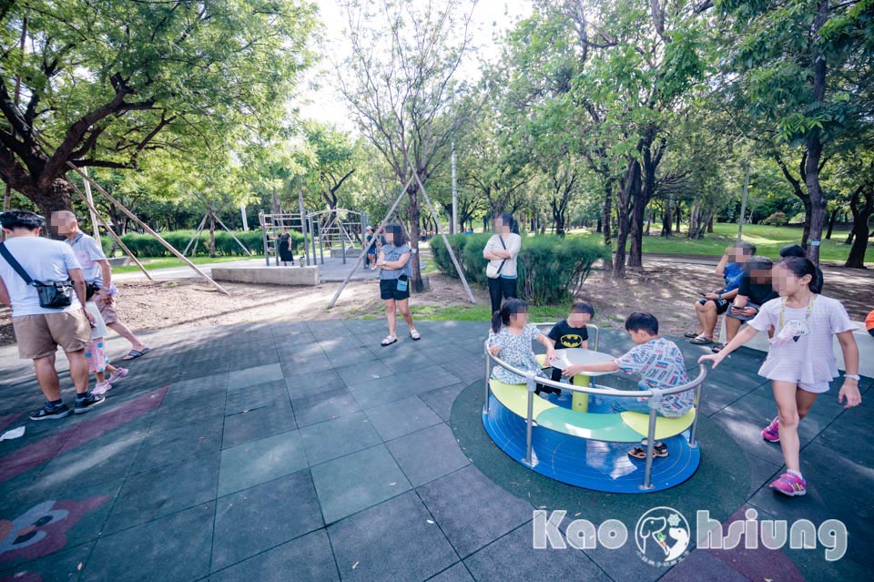 高雄前金景點〡高雄中央公園〡捷運站前綠地公園, 貓頭鷹遊戲場, 景觀湖觀察生態, 假日野餐好地點, 還有夏日戲水區, 滑草場溜一波