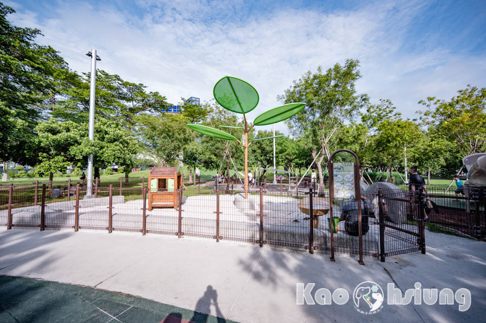 高雄前金景點〡高雄中央公園〡捷運站前綠地公園, 貓頭鷹遊戲場, 景觀湖觀察生態, 假日野餐好地點, 還有夏日戲水區, 滑草場溜一波