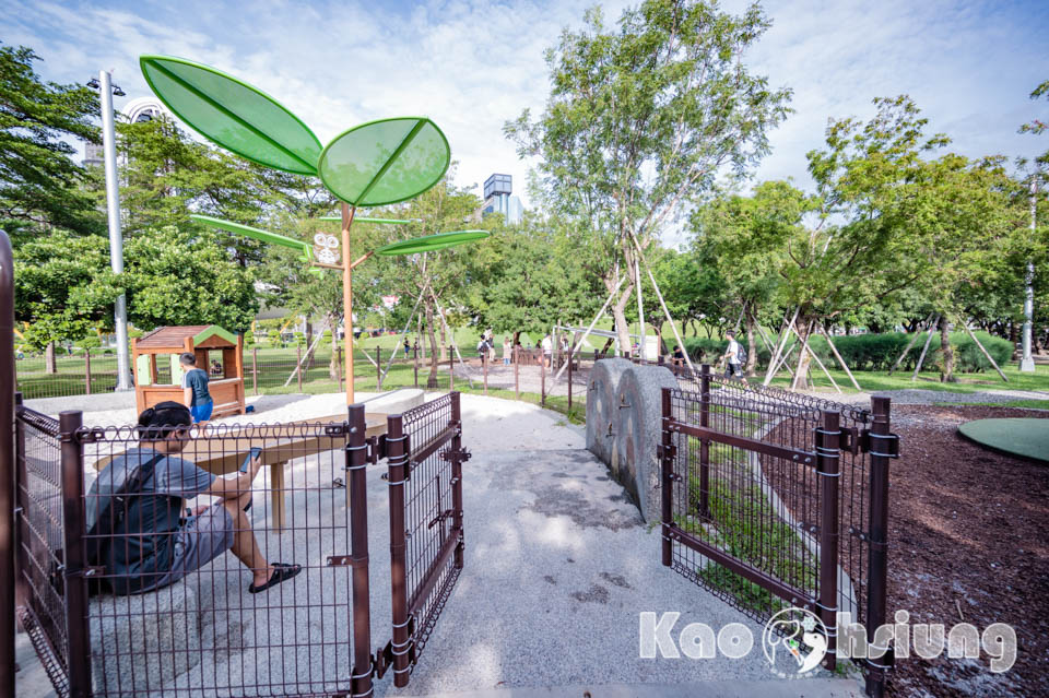 高雄前金景點〡高雄中央公園〡捷運站前綠地公園, 貓頭鷹遊戲場, 景觀湖觀察生態, 假日野餐好地點, 還有夏日戲水區, 滑草場溜一波