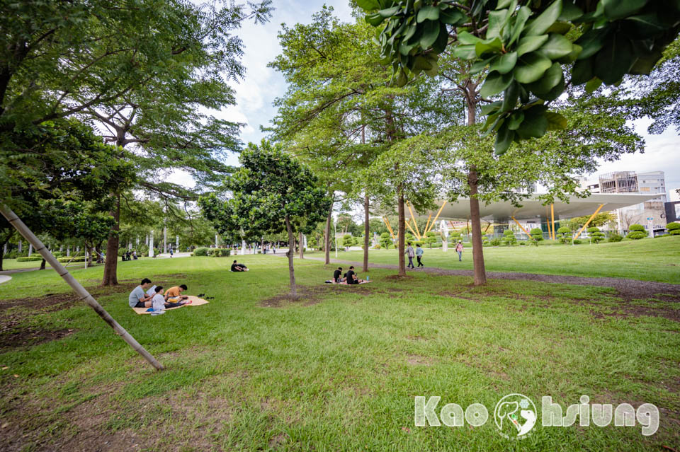 高雄前金景點〡高雄中央公園〡捷運站前綠地公園, 貓頭鷹遊戲場, 景觀湖觀察生態, 假日野餐好地點, 還有夏日戲水區, 滑草場溜一波