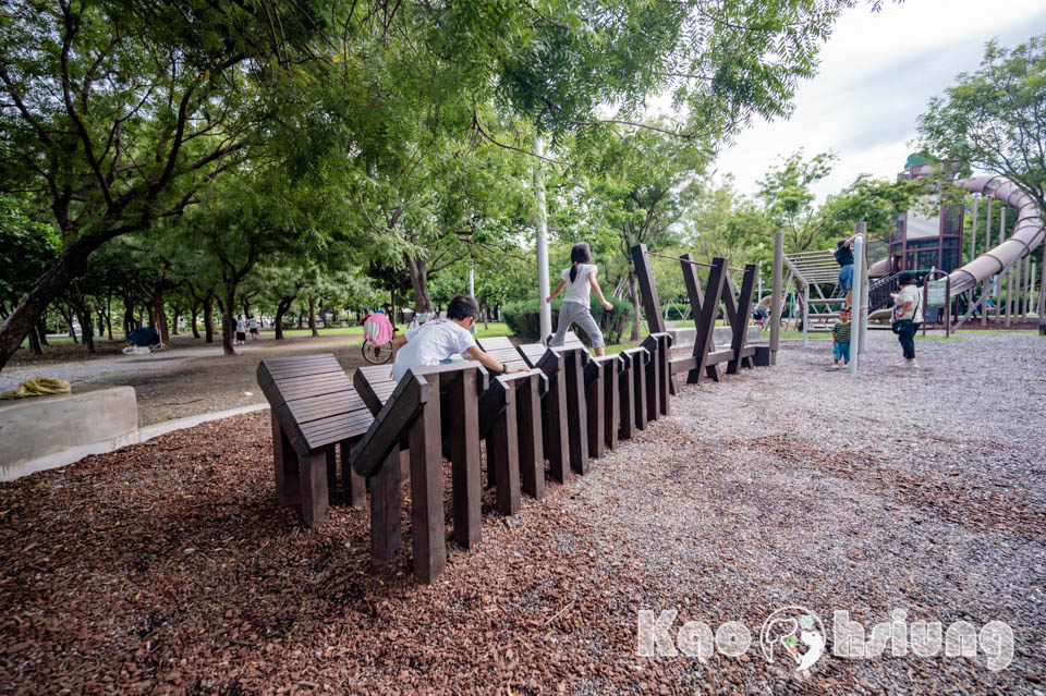 高雄前金景點〡高雄中央公園〡捷運站前綠地公園, 貓頭鷹遊戲場, 景觀湖觀察生態, 假日野餐好地點, 還有夏日戲水區, 滑草場溜一波