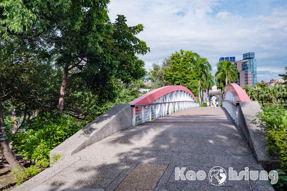 高雄前金景點〡高雄中央公園〡捷運站前綠地公園, 貓頭鷹遊戲場, 景觀湖觀察生態, 假日野餐好地點, 還有夏日戲水區, 滑草場溜一波