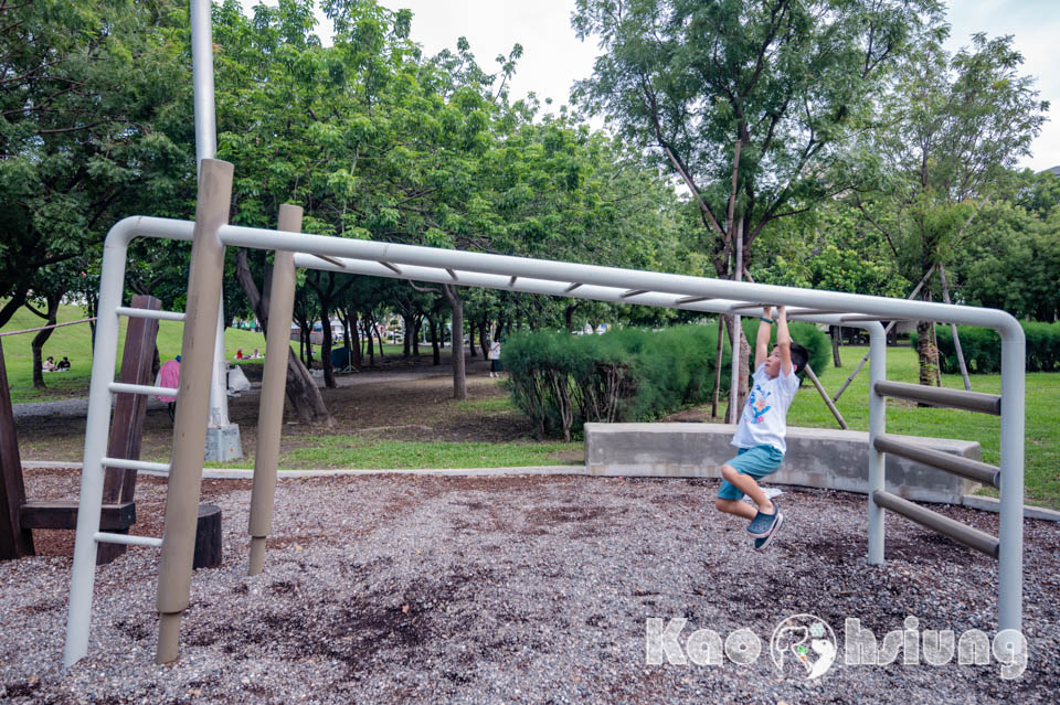 高雄前金景點〡高雄中央公園〡捷運站前綠地公園, 貓頭鷹遊戲場, 景觀湖觀察生態, 假日野餐好地點, 還有夏日戲水區, 滑草場溜一波