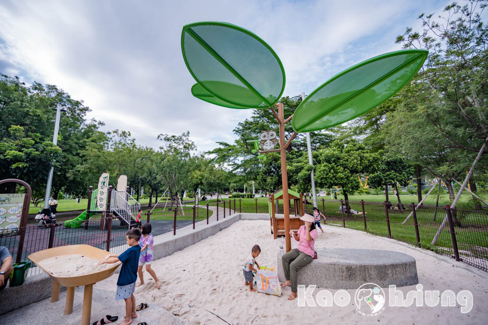 高雄前金景點〡高雄中央公園〡捷運站前綠地公園, 貓頭鷹遊戲場, 景觀湖觀察生態, 假日野餐好地點, 還有夏日戲水區, 滑草場溜一波