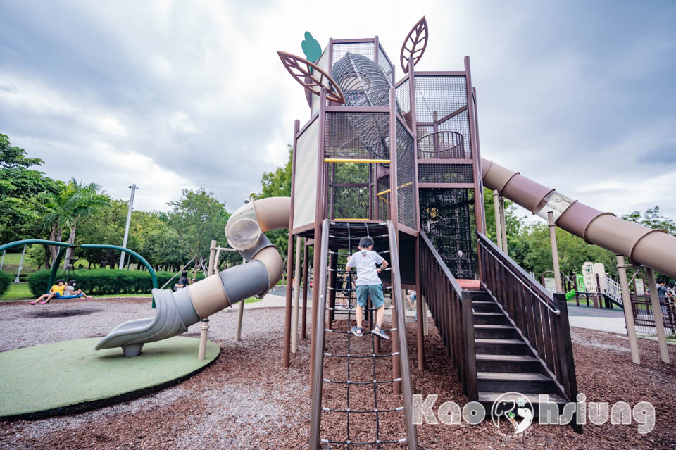 高雄前金景點〡高雄中央公園〡捷運站前綠地公園, 貓頭鷹遊戲場, 景觀湖觀察生態, 假日野餐好地點, 還有夏日戲水區, 滑草場溜一波