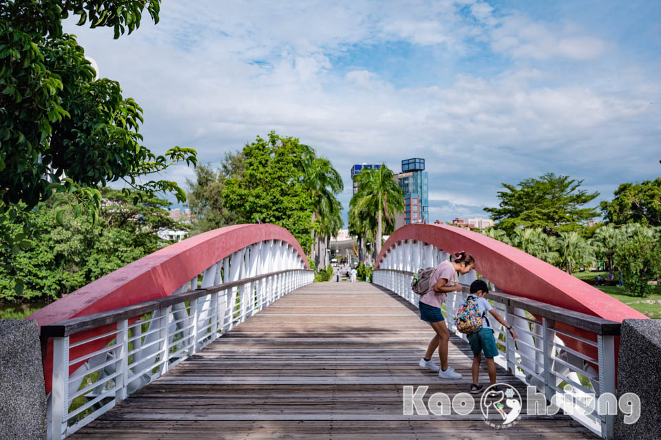 高雄前金景點〡高雄中央公園〡捷運站前綠地公園, 貓頭鷹遊戲場, 景觀湖觀察生態, 假日野餐好地點, 還有夏日戲水區, 滑草場溜一波