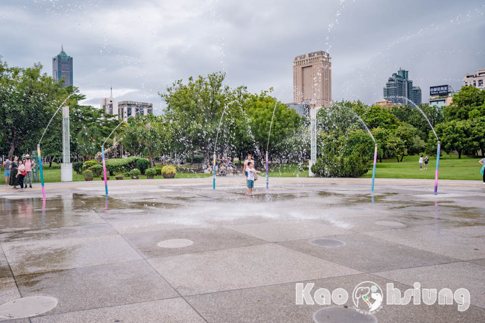 高雄前金景點〡高雄中央公園〡捷運站前綠地公園, 貓頭鷹遊戲場, 景觀湖觀察生態, 假日野餐好地點, 還有夏日戲水區, 滑草場溜一波