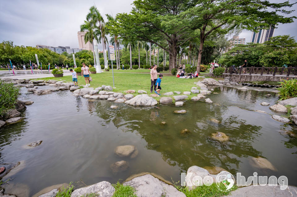 高雄前金景點〡高雄中央公園〡捷運站前綠地公園, 貓頭鷹遊戲場, 景觀湖觀察生態, 假日野餐好地點, 還有夏日戲水區, 滑草場溜一波