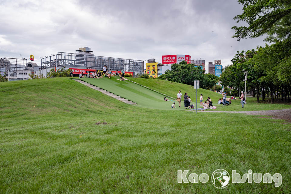 高雄前金景點〡高雄中央公園〡捷運站前綠地公園, 貓頭鷹遊戲場, 景觀湖觀察生態, 假日野餐好地點, 還有夏日戲水區, 滑草場溜一波