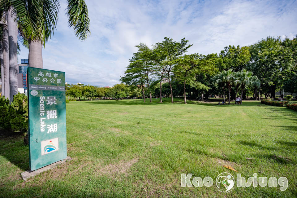 高雄前金景點〡高雄中央公園〡捷運站前綠地公園, 貓頭鷹遊戲場, 景觀湖觀察生態, 假日野餐好地點, 還有夏日戲水區, 滑草場溜一波