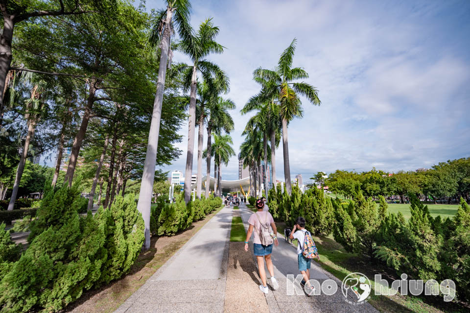 高雄前金景點〡高雄中央公園〡捷運站前綠地公園, 貓頭鷹遊戲場, 景觀湖觀察生態, 假日野餐好地點, 還有夏日戲水區, 滑草場溜一波