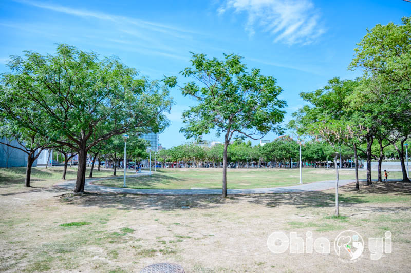 嘉義市區景點〡嘉義文化公園〡諸羅樹蛙共融遊戲場, 蛙蹼造型溜滑梯, 夏日地泉戲水池, 順遊文化路觀光夜市