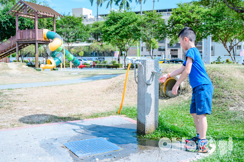 嘉義市區景點〡嘉義文化公園〡諸羅樹蛙共融遊戲場, 蛙蹼造型溜滑梯, 夏日地泉戲水池, 順遊文化路觀光夜市