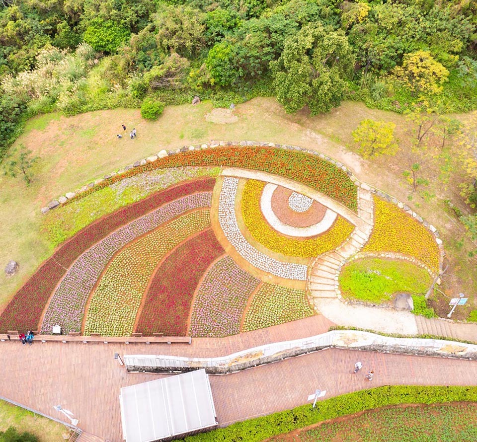 台北北投景點〡北投社三層崎公園〡2025三層崎花海, 來自大冠鷲的守護, 漫遊彩色浪花海, 童話風愛心鞦韆, 紫色浪漫薰衣草