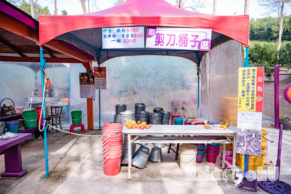 新竹寶山景點〡桔滿緣寶山農場〡一百元橘子吃到飽, 季節限定採橘樂, 緩坡果園拍照超美, 親子採果體驗推薦, 大吉大利緣緣滿滿