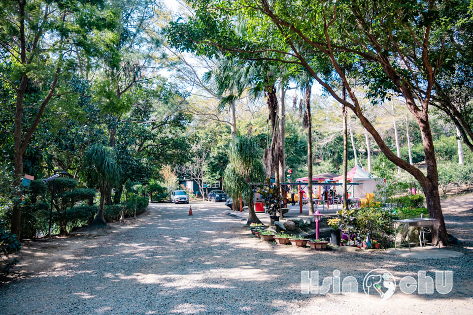 新竹寶山景點〡桔滿緣寶山農場〡一百元橘子吃到飽, 季節限定採橘樂, 緩坡果園拍照超美, 親子採果體驗推薦, 大吉大利緣緣滿滿