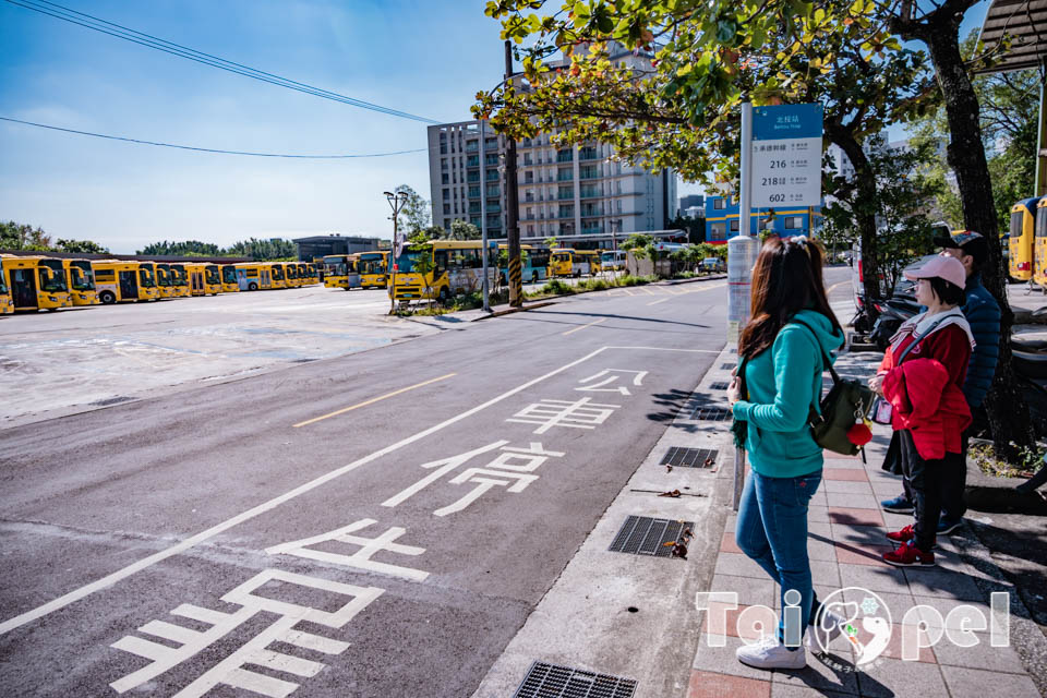 台北北投景點〡北投社三層崎公園〡2025三層崎花海, 來自大冠鷲的守護, 漫遊彩色浪花海, 童話風愛心鞦韆, 紫色浪漫薰衣草