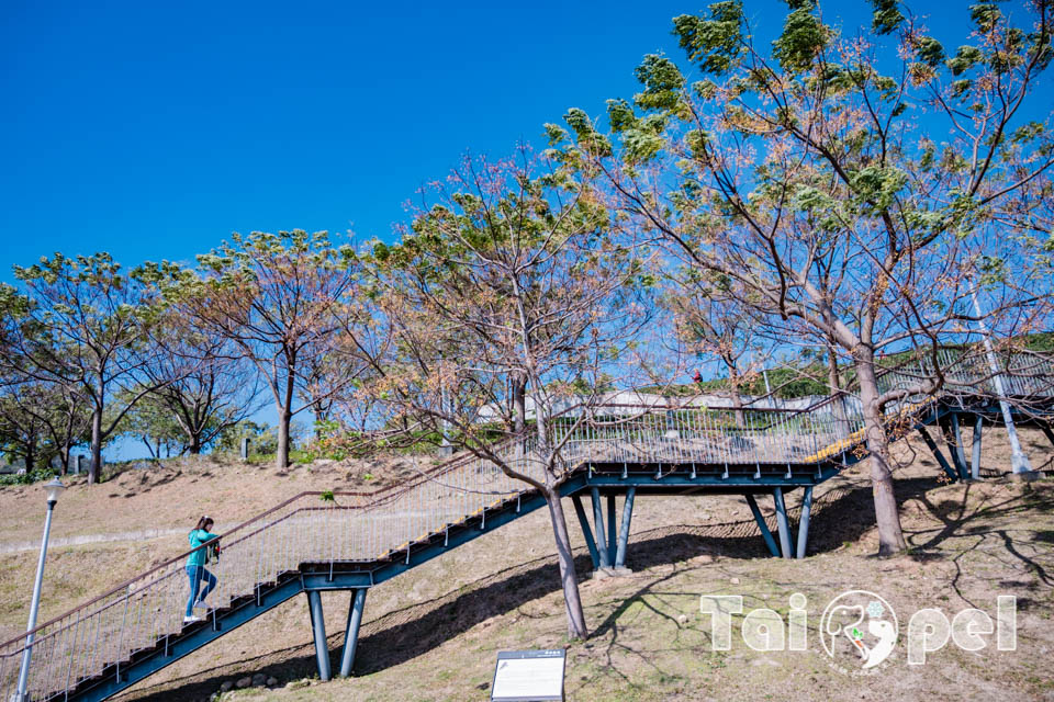 台北北投景點〡北投社三層崎公園〡2025三層崎花海, 來自大冠鷲的守護, 漫遊彩色浪花海, 童話風愛心鞦韆, 紫色浪漫薰衣草