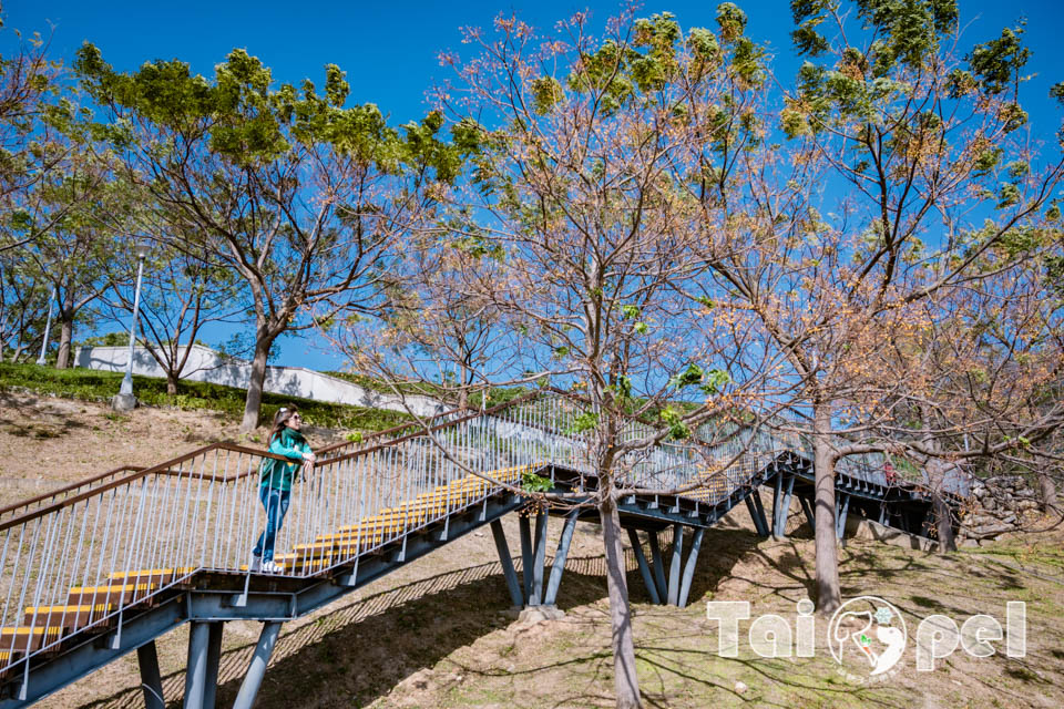 台北北投景點〡北投社三層崎公園〡2025三層崎花海, 來自大冠鷲的守護, 漫遊彩色浪花海, 童話風愛心鞦韆, 紫色浪漫薰衣草