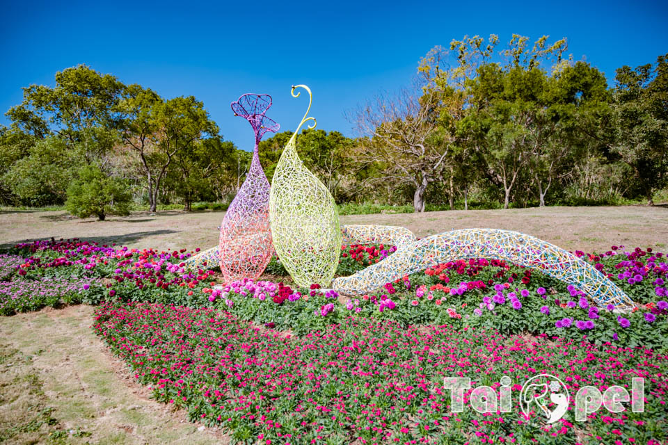 台北北投景點〡北投社三層崎公園〡2025三層崎花海, 來自大冠鷲的守護, 漫遊彩色浪花海, 童話風愛心鞦韆, 紫色浪漫薰衣草