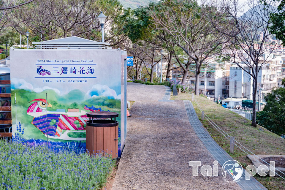 台北北投景點〡北投社三層崎公園〡2025三層崎花海, 來自大冠鷲的守護, 漫遊彩色浪花海, 童話風愛心鞦韆, 紫色浪漫薰衣草