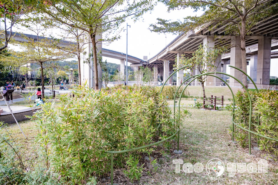 桃園平鎮景點〡平鎮運動公園〡冒險挑戰區勇闖十九關, 空中版百戰百勝, 滑草區同樂會, 暢玩地形遊戲場, 夏日戲水區, 毛寶貝運動場, 親子特色公園