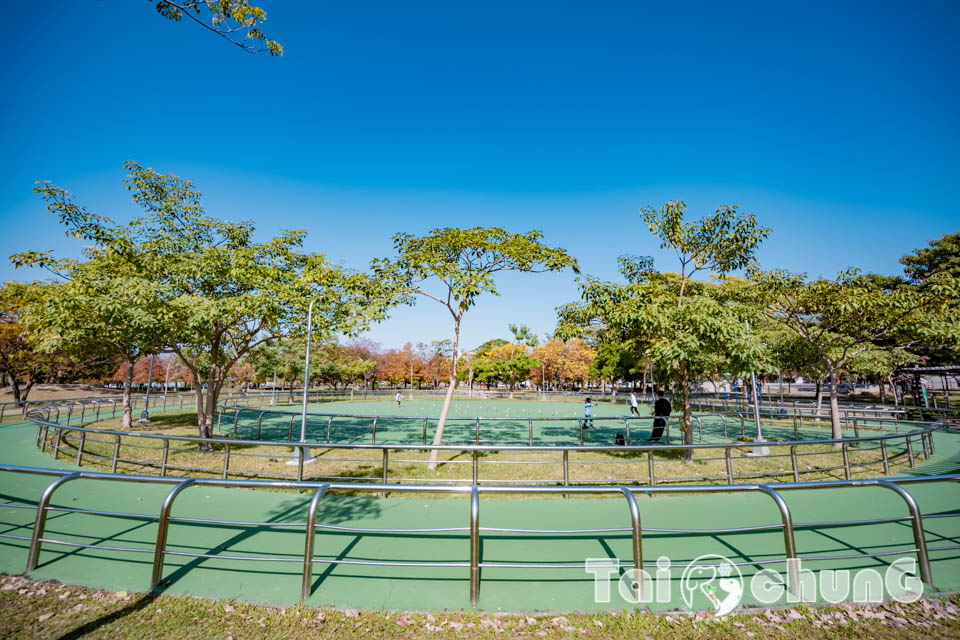 台中北屯景點〡南興公園〡超夯米奇樹拍照打卡, 大樹原野遊戲場玩耍, 唯美落羽松大道當主角, 台中親子特色公園