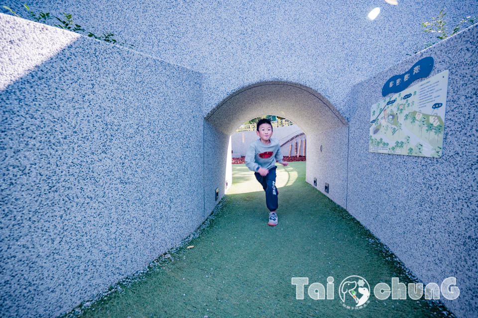 台中北屯景點〡南興公園〡超夯米奇樹拍照打卡, 大樹原野遊戲場玩耍, 唯美落羽松大道當主角, 台中親子特色公園